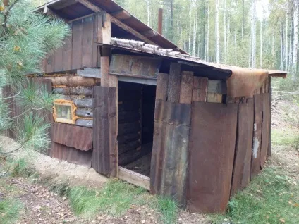 Наші зимарки