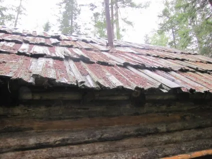 Наші зимарки