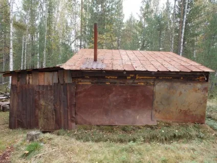 Наші зимарки