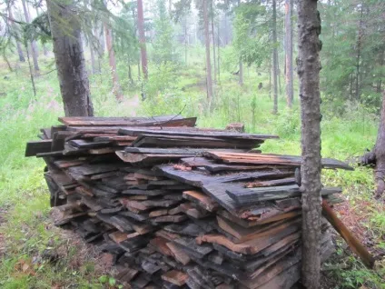 Наші зимарки