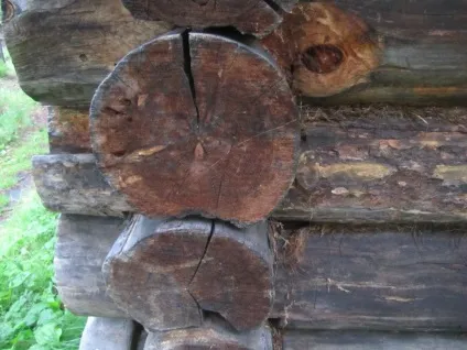 Наші зимарки