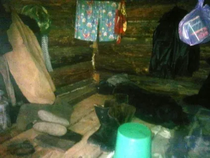 Наші зимарки