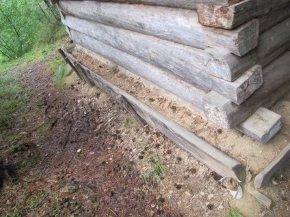 Наші зимарки