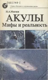 Чи потрібно охороняти акул