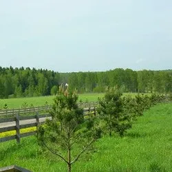 Норми екологічного права