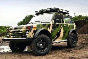 Нива рись-1