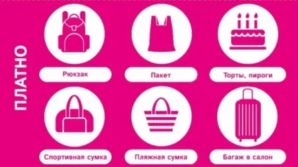 Нові правила перевезення ручної поклажі в авіакомпанії перемога, «лоукостерів» - купити дешеві (перемога правила перевезення багажу) Нові правила перевезення ручної поклажі в авіакомпанії перемога, «лоукостерів» - купити дешеві