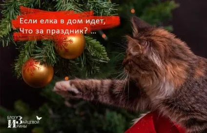 Новорічні загадки для дітей з відповідями, блог Ірини Зайцевої (новорічні) Новорічні загадки для дітей з відповідями, блог Ірини Зайцевої
