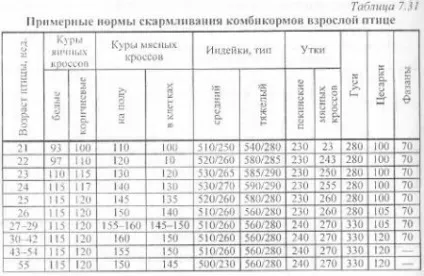 Нормована годівля птиці - агроархів сільськогосподарські матеріали (годування) Нормована годівля птиці - агроархів сільськогосподарські матеріали