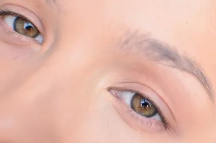 Новинки макіяжу bourjois paris