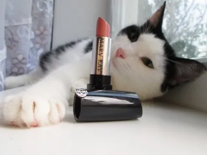 Новинка від mary kay (помада) Новинка від mary kay
