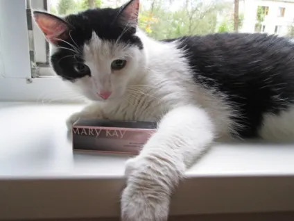 Новинка від mary kay (нюди) Новинка від mary kay