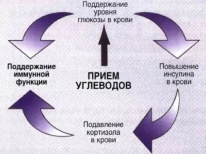 Норма вуглеводів в день для чоловіків і жінок (день) Норма вуглеводів в день для чоловіків і жінок