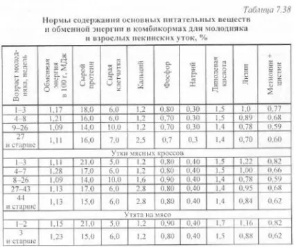 Нормована годівля птиці - агроархів сільськогосподарські матеріали (раціон) Нормована годівля птиці - агроархів сільськогосподарські матеріали