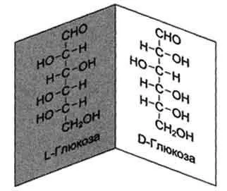 Загальною формулою c m (h2o) n (загальною) Загальною формулою c m (h2o) n