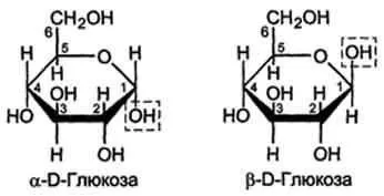 Загальною формулою c m (h2o) n (склад яких входять) Загальною формулою c m (h2o) n