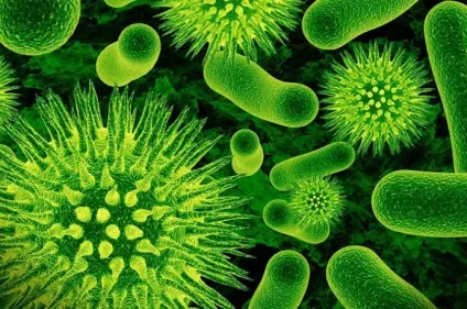 Загострення хронічного гастродуоденита симптоми і лікування (гастродуоденита) Загострення хронічного гастродуоденита симптоми і лікування