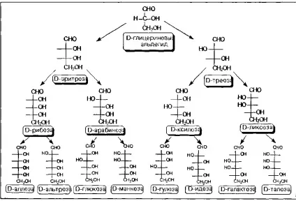 Загальною формулою c m (h2o) n (склад яких входять) Загальною формулою c m (h2o) n