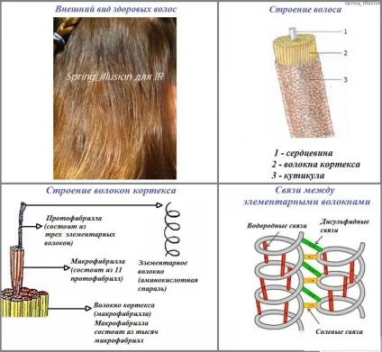 Огляд та відгуки системи відновлення волосся olaplex (огляд) Огляд та відгуки системи відновлення волосся olaplex