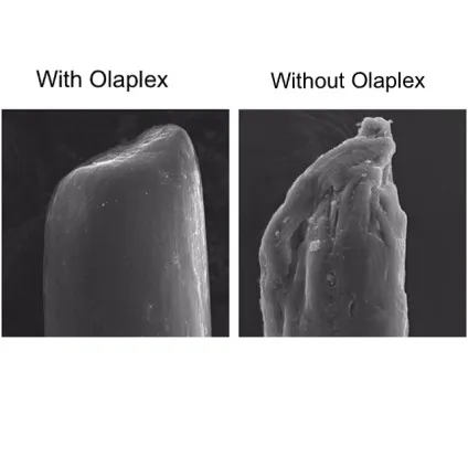 Огляд та відгуки системи відновлення волосся olaplex (волосся) Огляд та відгуки системи відновлення волосся olaplex