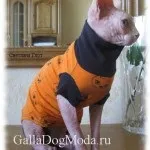 Одяг для собак - журнал мод