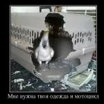 Один людина скоїла злочин (злочин) Один людина скоїла злочин