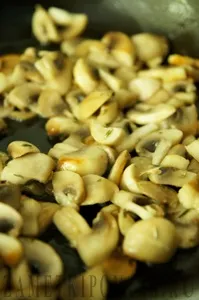 Омлет з помідорами та грибами, прості кулінарні рецепти з фотографіями (грибами) Омлет з помідорами та грибами, прості кулінарні рецепти з фотографіями