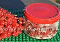 Огірки з цукром і оцтом на зиму, рецепт (цукром) Огірки з цукром і оцтом на зиму, рецепт