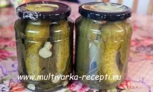 Огірки малосольні в банку на зиму (малосольні банку зиму) Огірки малосольні в банку на зиму