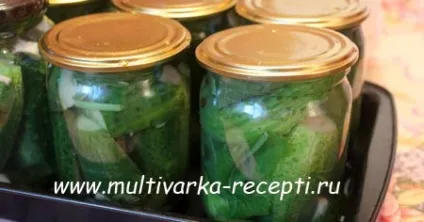 Огірки малосольні в банку на зиму (огірки малосольні на зиму) Огірки малосольні в банку на зиму