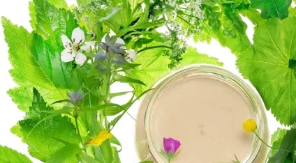 Омолодження обличчя в домашніх умовах рецепти від зморшок, ліфтинг, в домашніх умовах, відео, відгуки (омолодження) Омолодження обличчя в домашніх умовах рецепти від зморшок, ліфтинг, в домашніх умовах, відео, відгуки