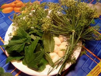 Огірки консервовані, малосольні (покроковий рецепт з фото) (кулінарні рецепти салатів) Огірки консервовані, малосольні (покроковий рецепт з фото)