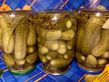 Огірки консервовані, малосольні (покроковий рецепт з фото) (кулінарні рецепти салатів) Огірки консервовані, малосольні (покроковий рецепт з фото)