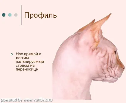 Про породу 1
