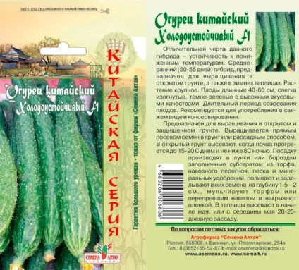 Огірки китайські холодостійких як вирощувати в теплиці, фото, врожайність, відгуки - eтепліца (холодостійких) Огірки китайські холодостійких як вирощувати в теплиці, фото, врожайність, відгуки - eтепліца