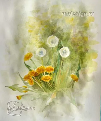 Кульбаби аквареллю, mtdesign