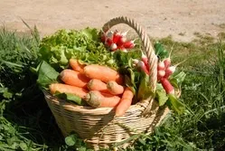 Органічну підгодівлю для городу від игоря Лядова щоденник користувача valushe (натуральні органічні добрива) Органічну підгодівлю для городу від игоря Лядова щоденник користувача valushe