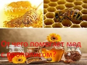 Від чого допомагає мед з прополісом, мій знахар (кошти з меду) Від чого допомагає мед з прополісом, мій знахар