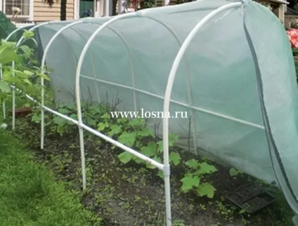 Оригінальні вироби з поліпропіленових труб (блоги) Оригінальні вироби з поліпропіленових труб