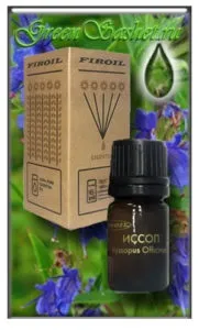 Иссоп ефірне масло - hyssopus officinalis (ефірне масло) Иссоп ефірне масло - hyssopus officinalis