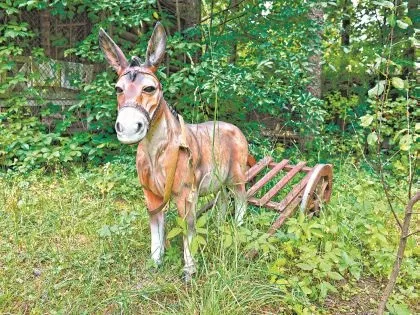 Як анастасия мельникова живе в своєму родовому гнізді фото