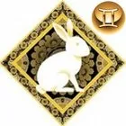 Відмінні ознаки близнюків - кролика гороскоп для чоловіків і жінок (гороскоп близнюки кролик) Відмінні ознаки близнюків - кролика гороскоп для чоловіків і жінок