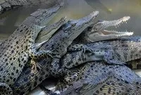 Відгуки туристів про відпочинок у Паттаї (Таїланд) 2017 (Паттайї) Відгуки туристів про відпочинок у Паттаї (Таїланд) 2017