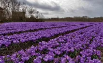 Пам'ятка активіста як повісити таблички, щоб їх не демонтували влади (демонтували) Пам'ятка активіста як повісити таблички, щоб їх не демонтували влади