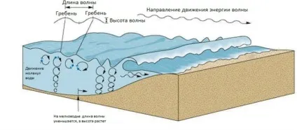 Звідки беруться хвилі, школа серфінгу на балі (беруться) Звідки беруться хвилі, школа серфінгу на балі