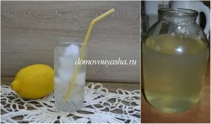 Охолоджуючий напій з імбиру і лимона (лимона) Охолоджуючий напій з імбиру і лимона