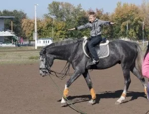 Перше знайомство з конем (або коротка інструкція для новачків), конячка-56 (знайомство) Перше знайомство з конем (або коротка інструкція для новачків), конячка-56