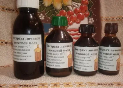 Бджолина вогнівка (воскова міль) застосування, лікування, протипоказання (огневка воскова міль лікування шкоду) Бджолина вогнівка (воскова міль) застосування, лікування, протипоказання