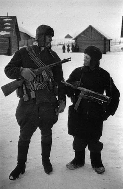 Партизани Великої вітчизняної війни (війни) Партизани Великої вітчизняної війни