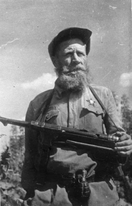 Партизани Великої вітчизняної війни (війни) Партизани Великої вітчизняної війни